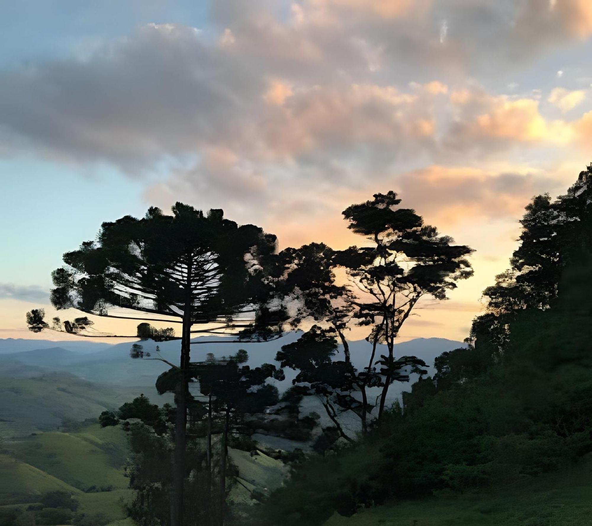 Gorjeios Da Mantiqueira * São Bento do Sapucaí